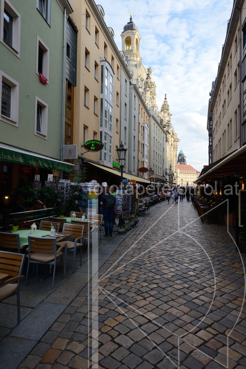 DSC 5464