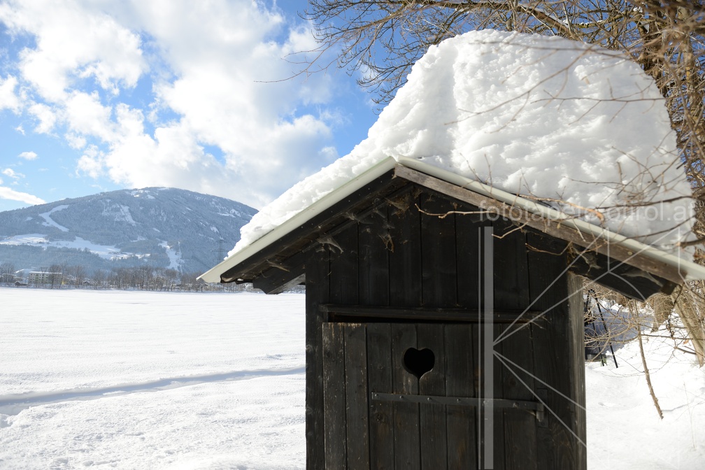 MSK 1597 (1536 visits) MSK 1597