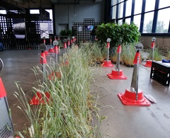 IMG 20190907 165406 2