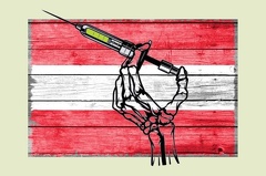 photo 2021-12-08 17-12-06